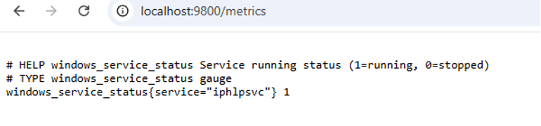 Output of the /metrics endpoint
